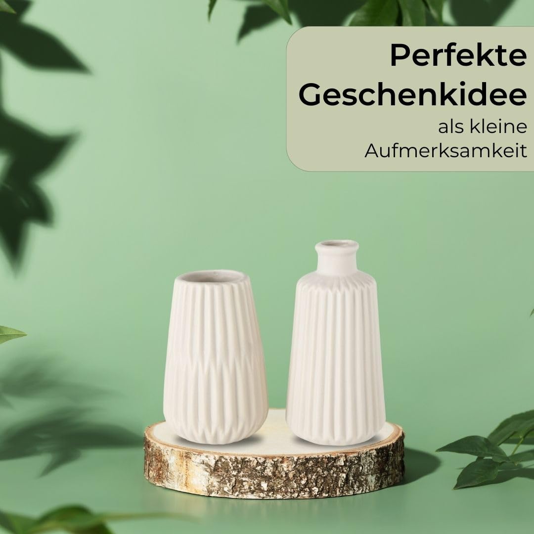 topanbieter999-home-porzellan-vasen-2er-set-beige-matt-trockenblumen image 5