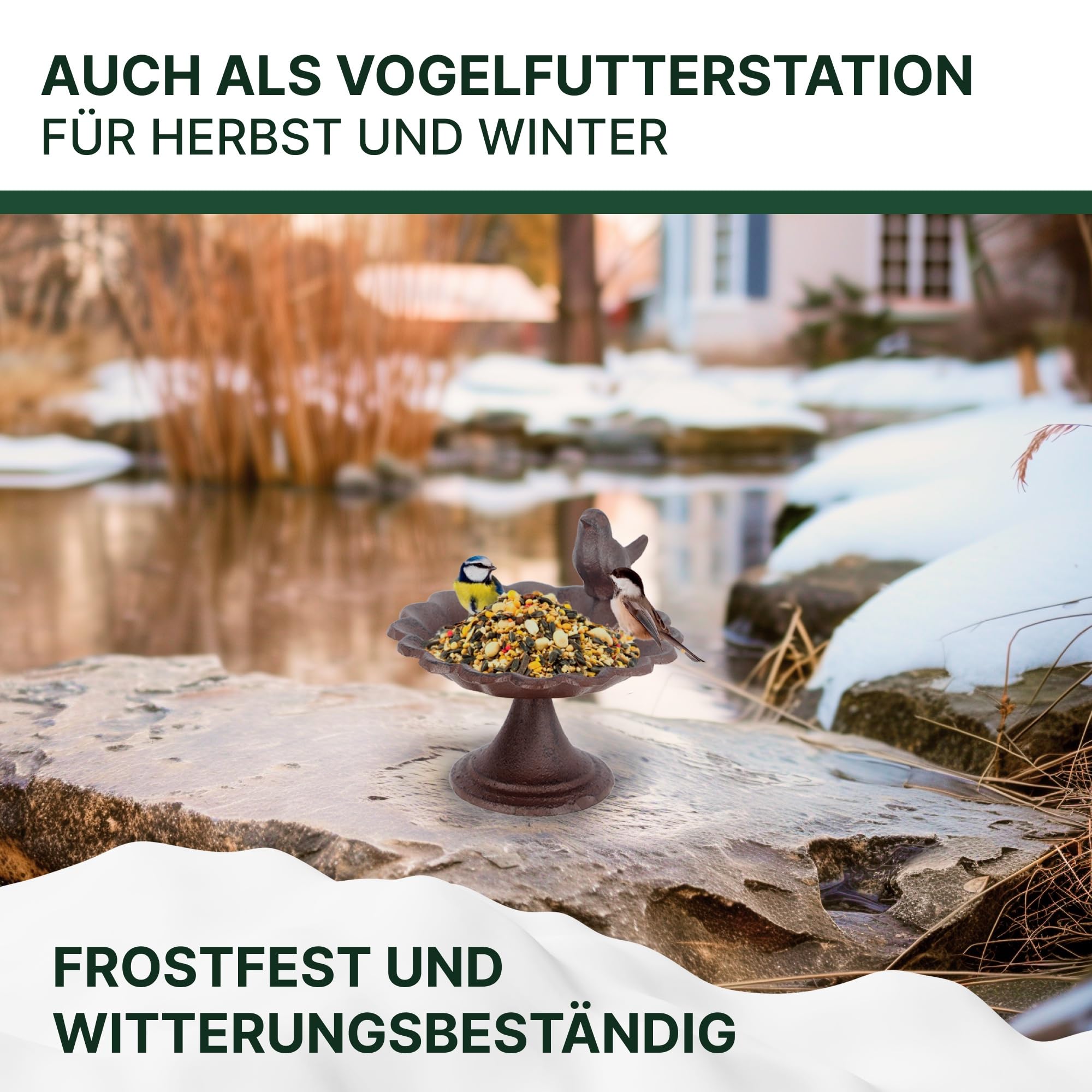 topanbieter999-outdoor-vogeltr-nke-vogel-mit-fu-gusseisen image 6