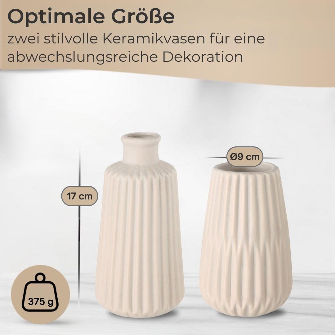 topanbieter999-home-porzellan-vasen-2er-set-beige-matt-trockenblumen image 2