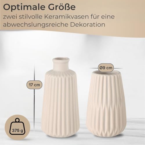 topanbieter999-home-porzellan-vasen-2er-set-beige-matt-trockenblumen image 8