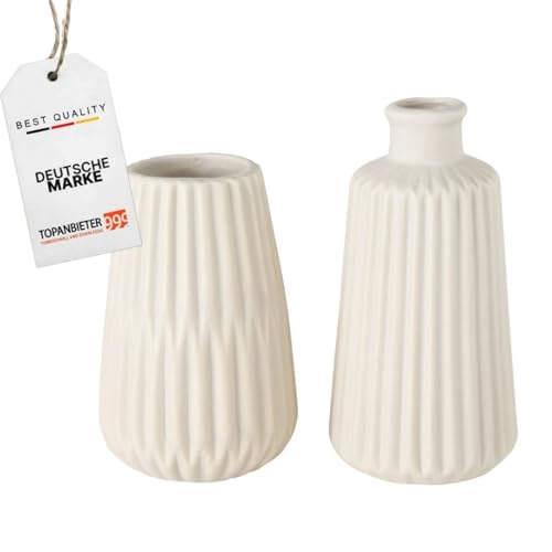 topanbieter999-home-porzellan-vasen-2er-set-beige-matt-trockenblumen image 7